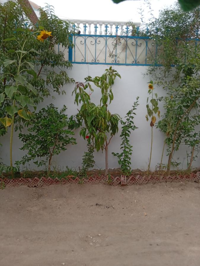 Villa Louise Guest House Luxor Exterior foto